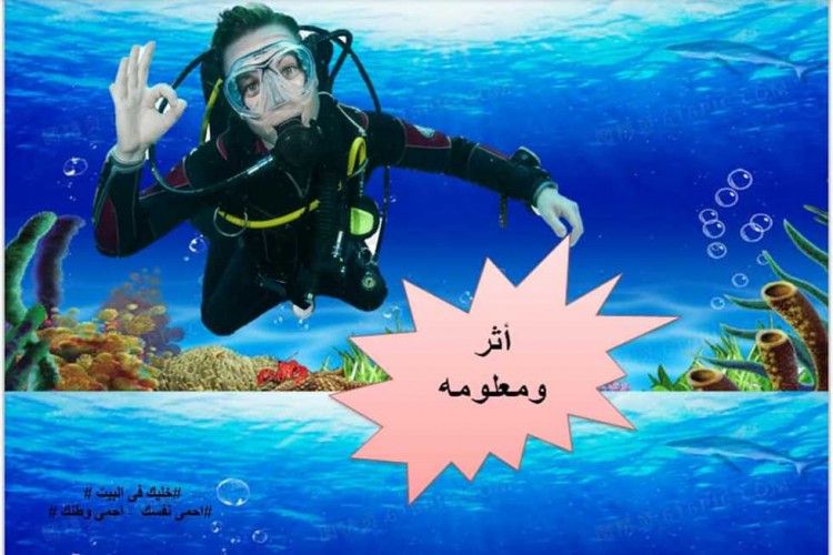 بـ3 لغات.. «الآثار الغارقة» تطلق «أثر ومعلومة» لمواجهة حظر كورونا